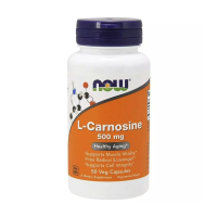 foto дієтична добавка в капсулах now foods l-carnosine l-карнозин 500 мг, 50 шт