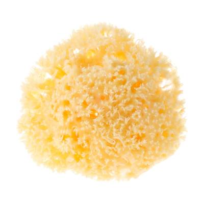 Podrobnoe foto натуральна морська губка najel natural sponge 9-10 см